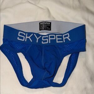 SKYSPER Men's Blue Briefs